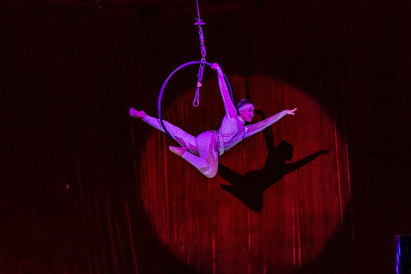 🎪 Trapezistas e Acrobatas